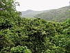 P1010178.jpg