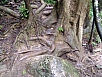P1010184.jpg