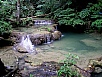 P1010185.jpg