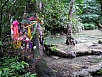 P1010186.jpg