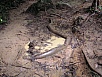 P1010191.jpg