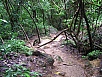 P1010194.jpg