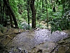 P1010195.jpg