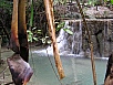 P1010198.jpg
