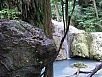 P1010201.jpg