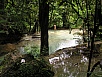 P1010208.jpg