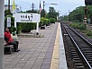 P1010210.jpg