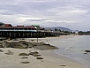 P1010220.jpg