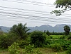 P1010233.jpg