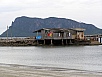 P1010240.jpg