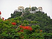 P1010248.jpg