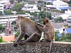 P1010277.jpg