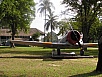 P1010316.jpg