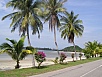 P1010321.jpg