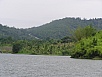 P1010331.jpg