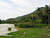 P1010343.jpg