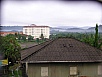 P1010355.jpg
