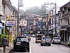 P1010359.jpg