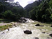 P1010366.jpg