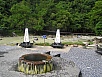 P1010369.jpg