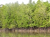 P1010378.jpg