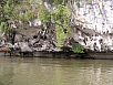 P1010387.jpg