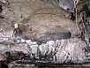 P1010388.jpg