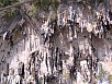P1010391.jpg