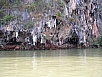 P1010403.jpg