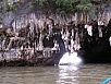 P1010407.jpg