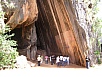 P1010428.jpg