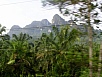 P1010438.jpg