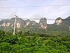 P1010439.jpg