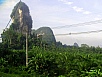 P1010440.jpg