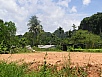 P1010455.jpg