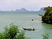 P1010461.jpg