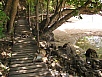 P1010485.jpg