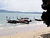 P1010504.jpg