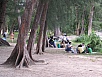 P1010516.jpg