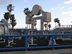Muscle Beach