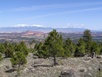 Blue Berry Pass zw. Torrey und Boulder