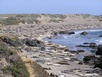 Piedras Blancas - Seelefanten