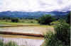 Laos - Rice Paddies on the route to Kasi - Luang Prabang