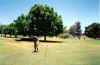 Australia - Perth - Golf Play at Christmas