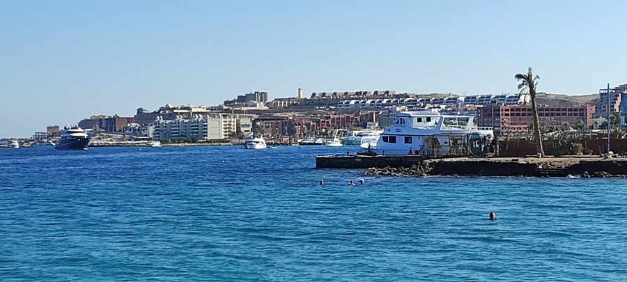 IMG_20211007_150239.jpg