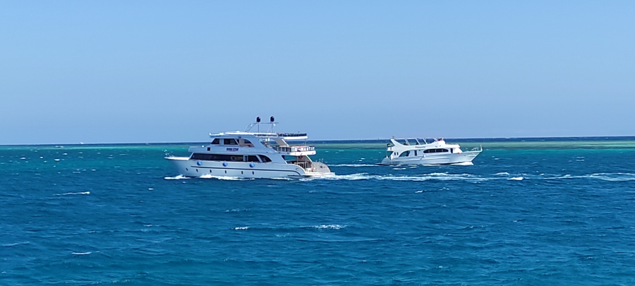 IMG_20211008_091130.jpg