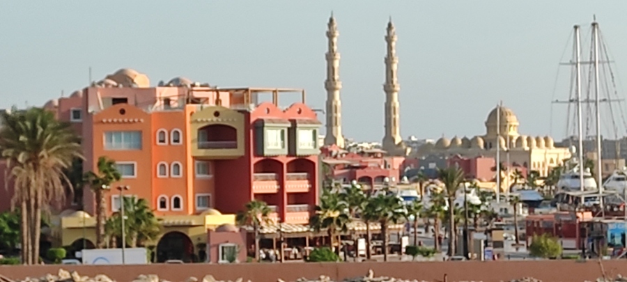 IMG_20211009_064344.jpg