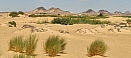 IMG_20211002_130232.jpg