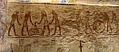 IMG_20211006_083737.jpg
