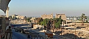 IMG_20211007_065519.jpg